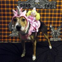 Zoe Hal 11.jpg